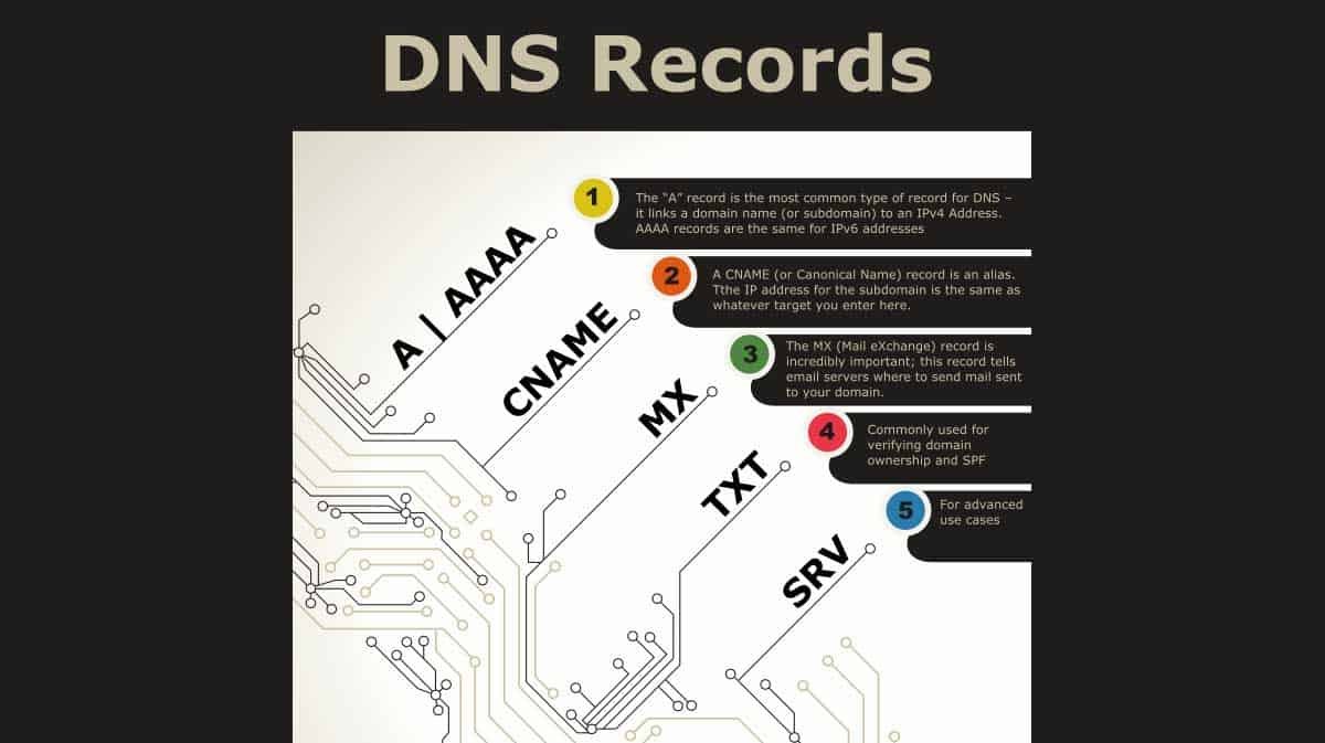 Explore Your Domain's DNS Records