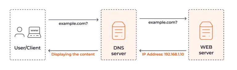 Explore Your Domain’s DNS Records